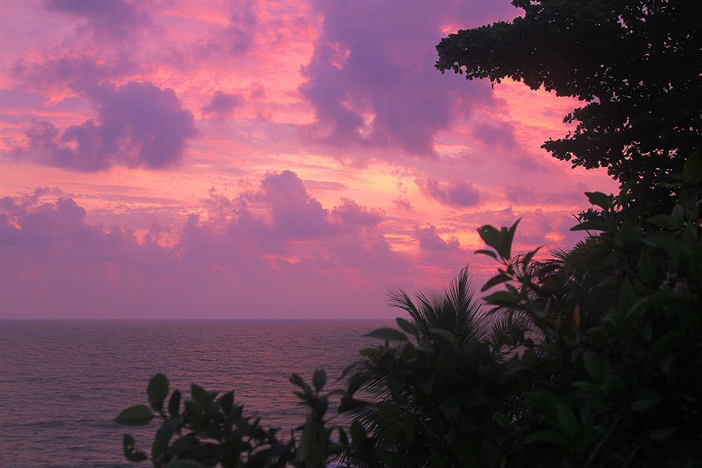 Magnolia Guesthouse Varkala Ngoại thất bức ảnh