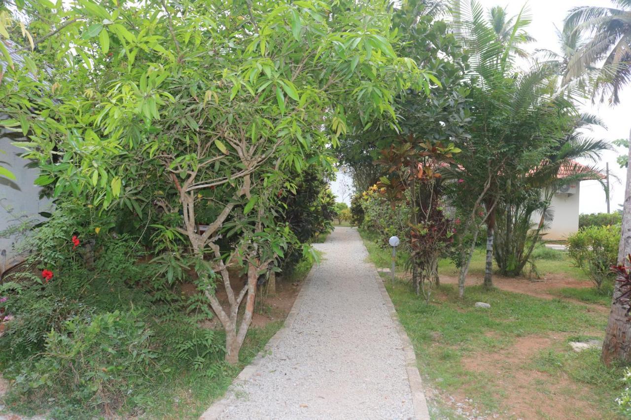 Magnolia Guesthouse Varkala Ngoại thất bức ảnh