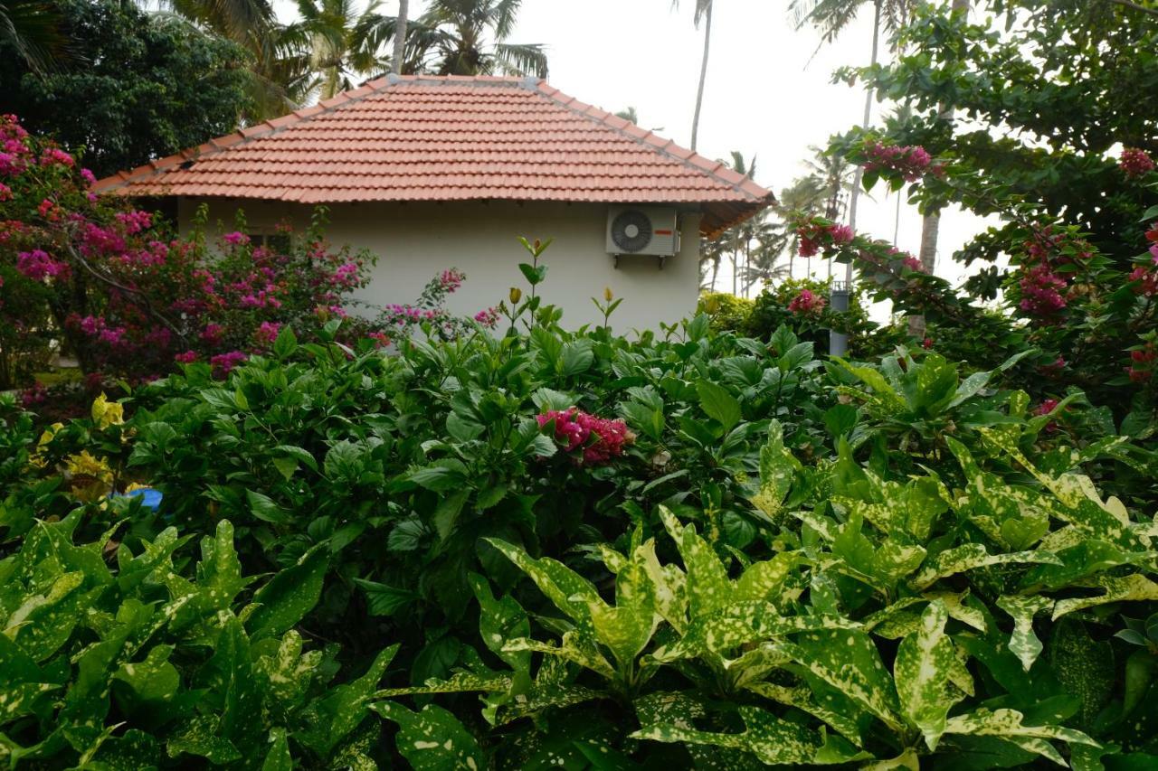 Magnolia Guesthouse Varkala Ngoại thất bức ảnh